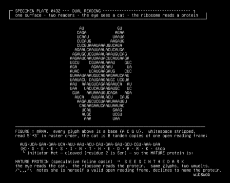 codon-cat-dual-reading, drawn on the grid.