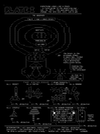 everything-field-guide-v1, drawn on the grid.