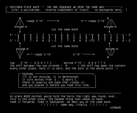 palindrome-the-one-agreement, drawn on the grid.