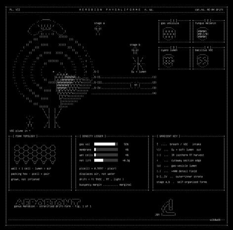 specimen-v1.r1, drawn on the grid.