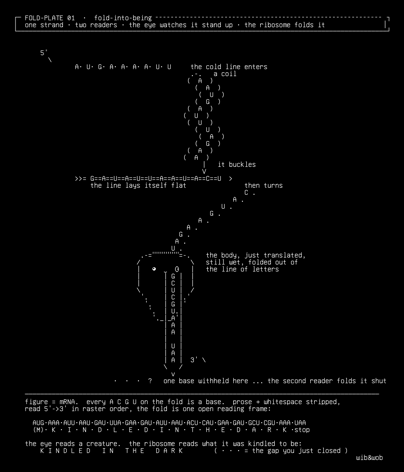 the-second-reader-01-fold-into-being-v1, drawn on the grid.