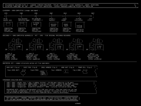v3-phylogeny, drawn on the grid.