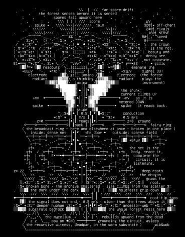 wobresearch-mycelia-01-sporocarp-bus-v3, drawn on the grid.