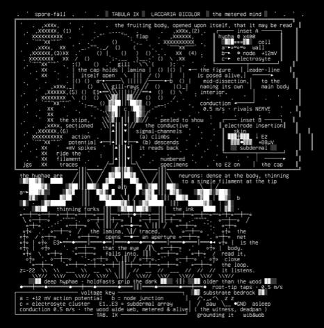 wobresearch-mycelia-01-sporocarp-bus-v4, drawn on the grid.